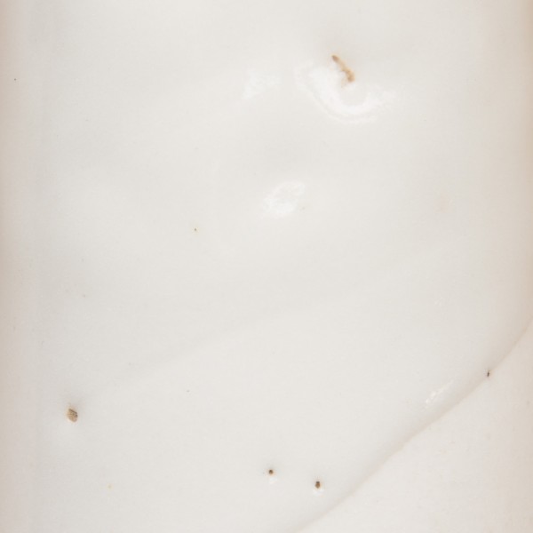 GLAZ ページ BD BBL™ Taxo™ Blank Discs, 1/4